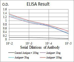 GNAS Antibody