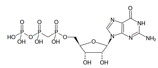 GpCpp