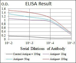 GSC Antibody