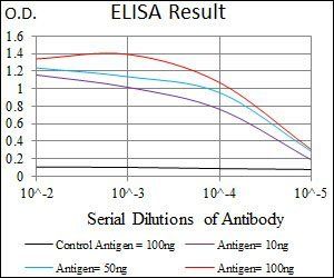 HAS2 Antibody