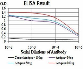 HDAC6 Antibody