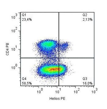 Helios antibody (PE)