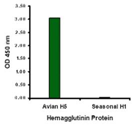Hemagglutinin Monoclonal Antibody
