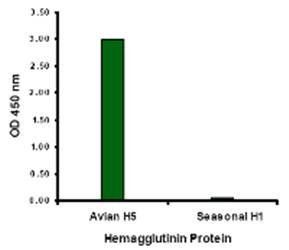 Hemagglutinin Monoclonal Antibody