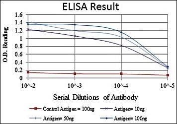 HFE Antibody