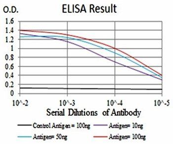 HH3 Antibody
