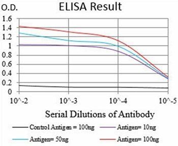 HH3 Antibody