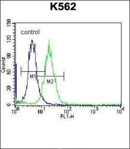 HIST1H2AB antibody