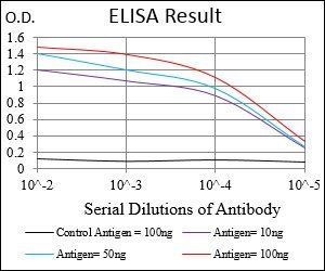 HPRT1 Antibody