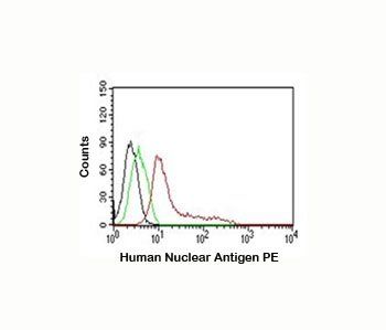 Human Nuclear Antigen Antibody