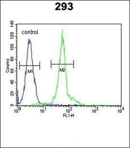 IFT172 antibody