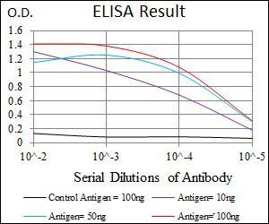 IGF2 Antibody