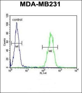 IL1F6 antibody