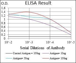 IL3RA Antibody