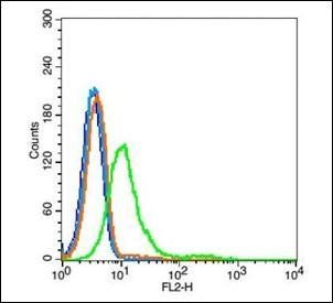ITGA11 Rabbit Polyclonal Antibody