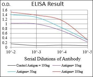 ITGAM Antibody