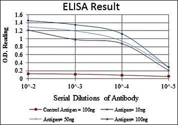 ITK Antibody