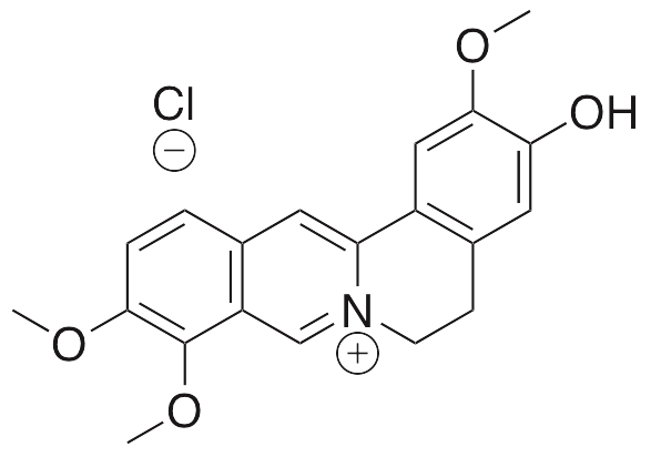 Jatrorrhizine Chloride