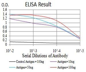 KDM1A Antibody