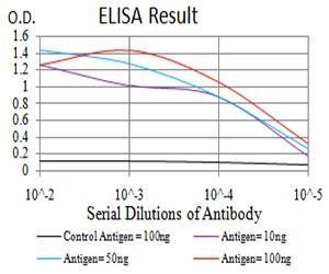 KDM1A Antibody