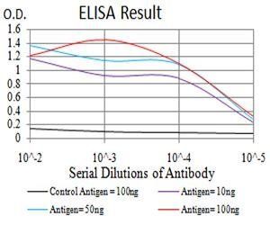 KLF2 Antibody