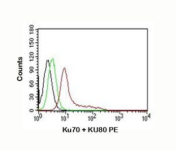 Ku70 + Ku80 Antibody