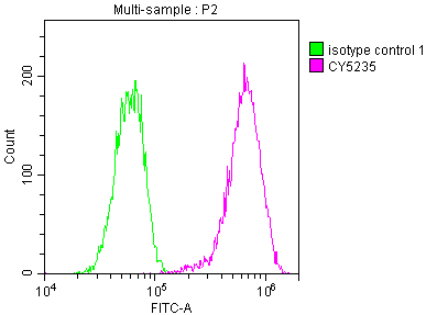 LDLR Recombinant Monoclonal Antibody