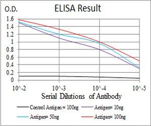 LDLR Antibody