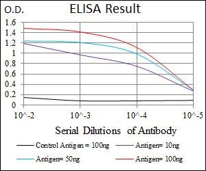 LMO2 Antibody