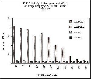 Mouse anti M13 bacteriophage (g3p), conjugated with Biotin