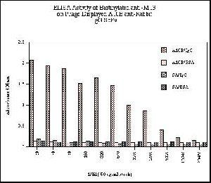 M13 bacteriophage antibody (Biotin)