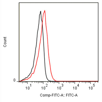Anti-m152 (MCMV) antibody