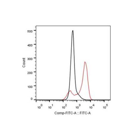 Anti-M25 (MCMV) antibody