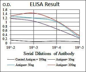 MAP2 Antibody
