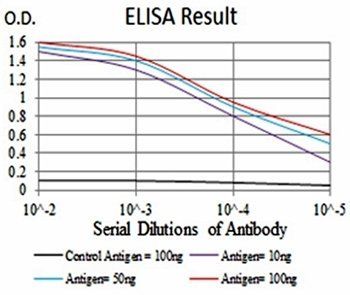 MAP3K7 Antibody