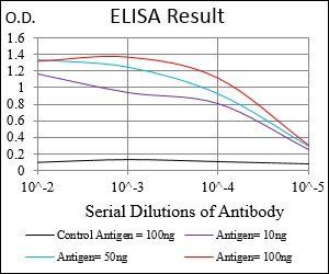 MAPK14 Antibody