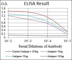 MEN1 Antibody