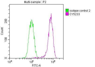 MET antibody