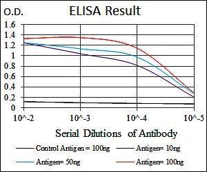 MMP3 Antibody