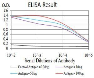MOB1A Antibody