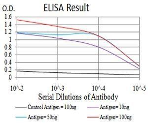 MOB1A Antibody