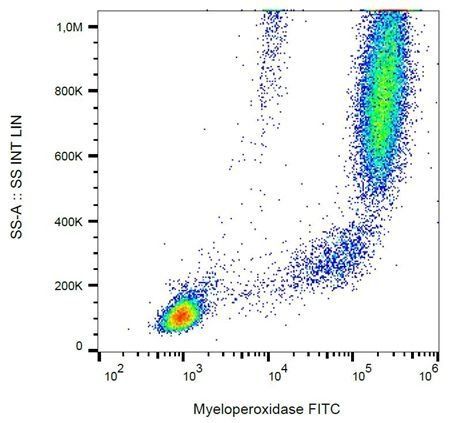 Myeloperoxidase antibody (FITC)