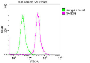 NANOG Monoclonal Antibody