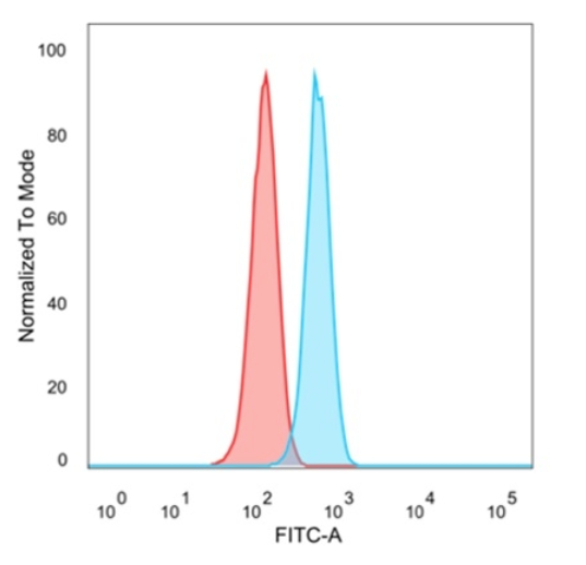 NEUROG3 / Neurogenin 3 / NGN3 (Transcription Factor) Antibody