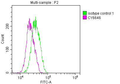 ELANE Recombinant Monoclonal Antibody