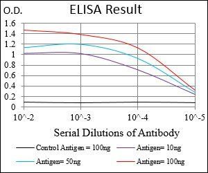 NFE2L2 Antibody