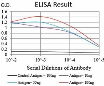 NME2 Antibody