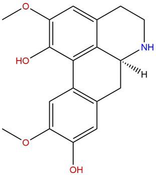 Norisoboldine