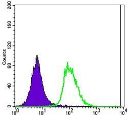 04-Oct Antibody
