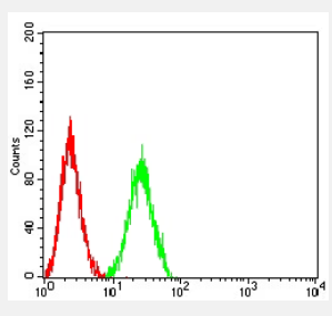 CCR10 Antibody
